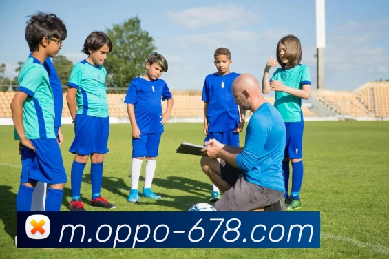 678体育平台生态图